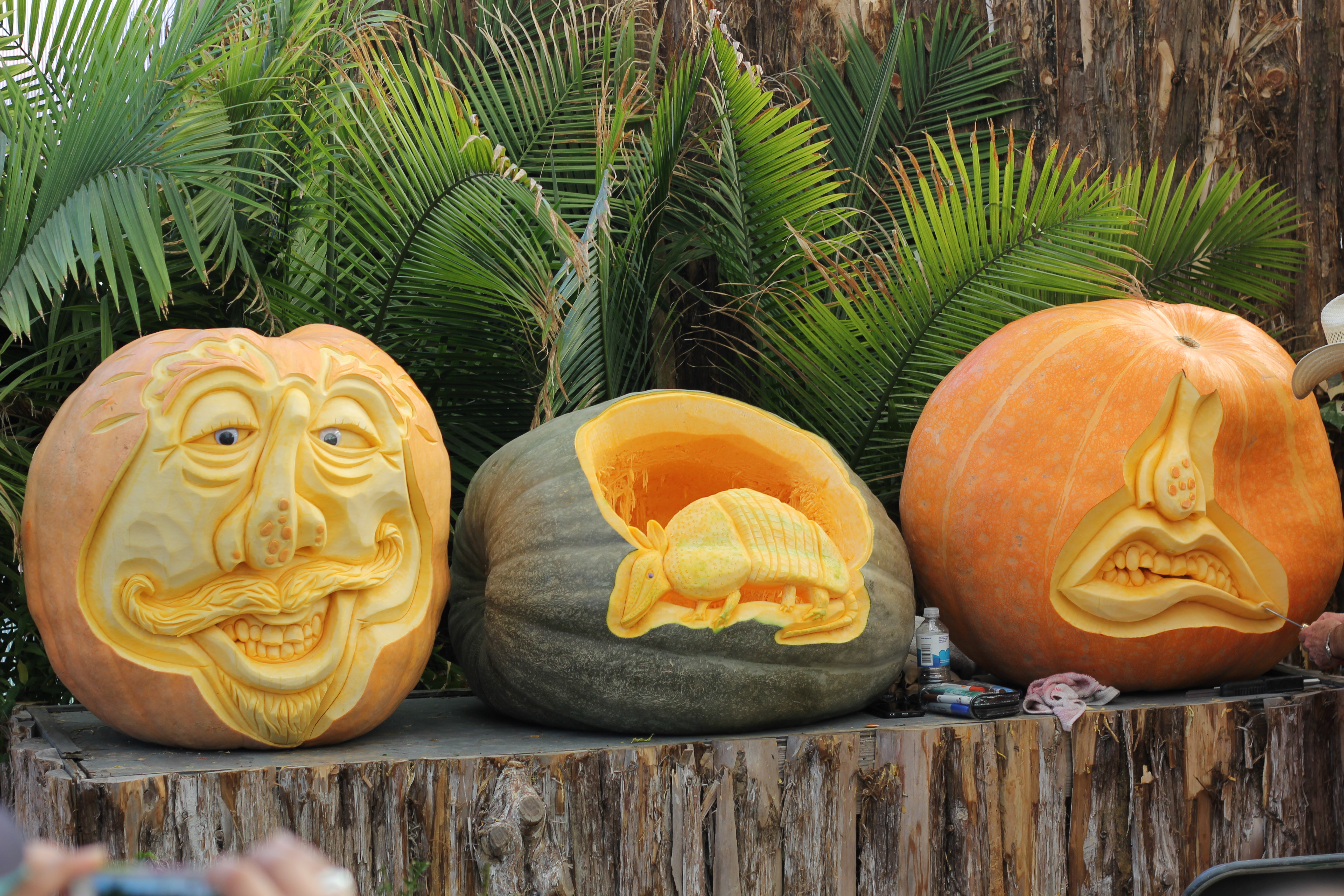 3 K&uuml;rbisse mit Gesichtern